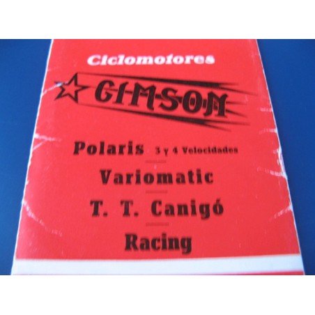 gimson polaris variomatic, TT, canigo y racing mantenimiento